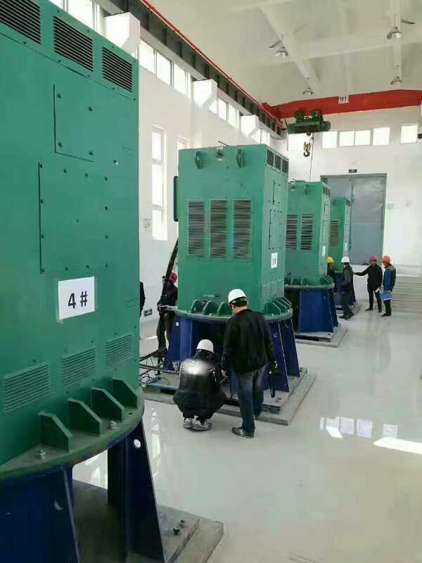 YKK5006-10某污水处理厂使用我厂的立式高压电机安装现场