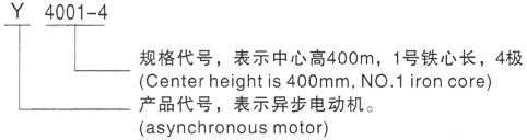 西安泰富西玛Y系列(H355-1000)高压YKK5006-10三相异步电机型号说明